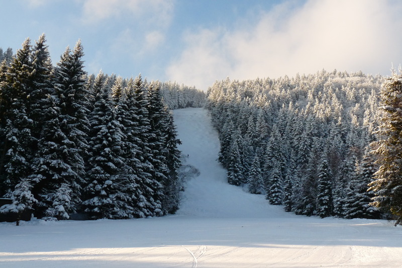 Obrázek zasněžené krajiny