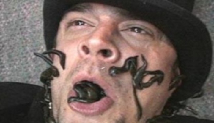 Jackass - že by nová image mužů? Muž ležící na podlaze s hady v ústech a na tvářích