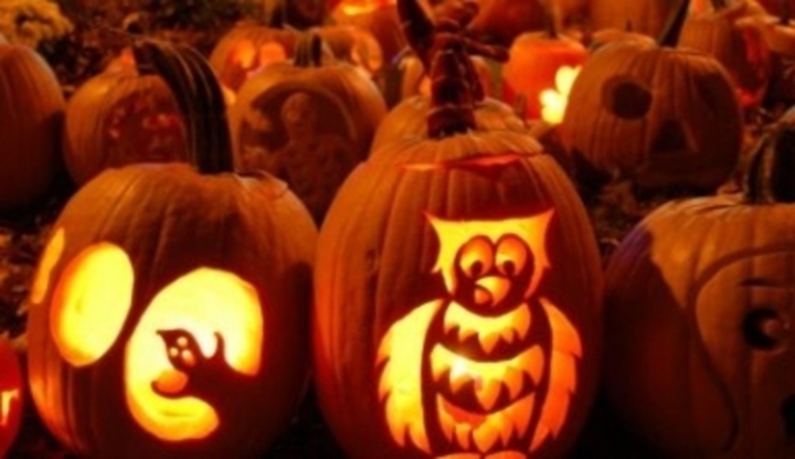 Tipy na Halloween párty dýně, Halloween