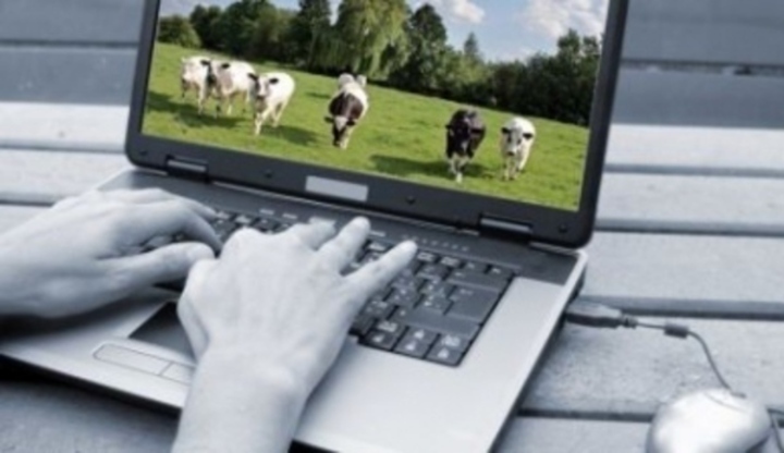 Antiviry - opravdu chrání vaše PC? Fotografie zachycující mužské ruce na klávesnici od notebooku