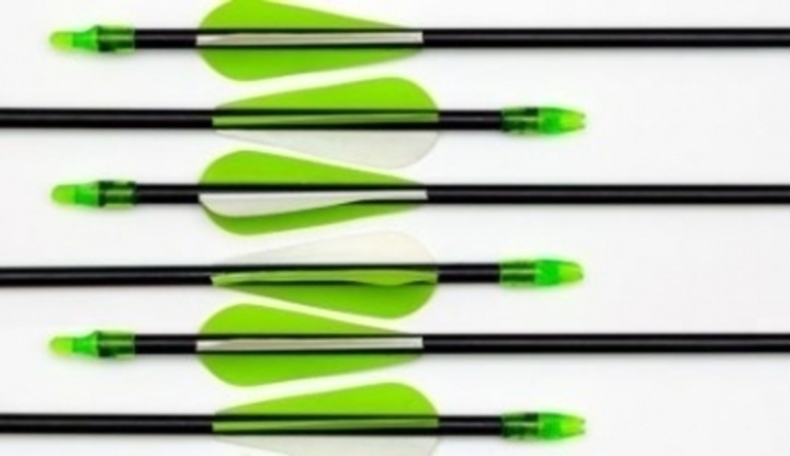 Lukostřelba - sport zrozený z lovu Fotografie želených šípů