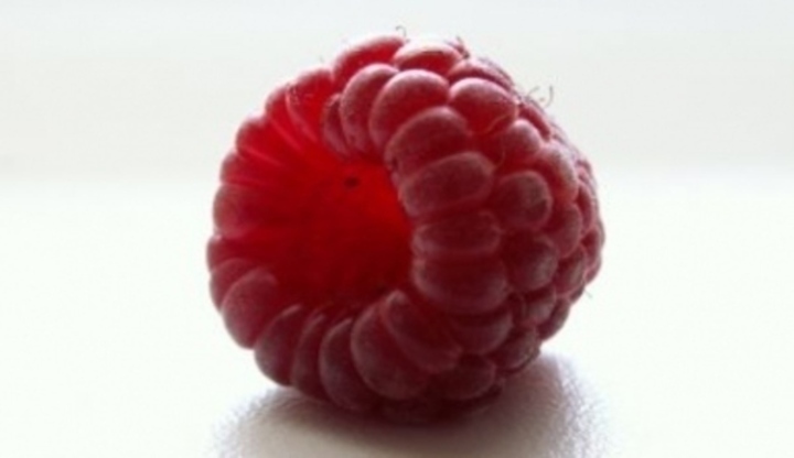 Brigády v zahraničí - zařiďte se dopředu Fotografie s detailem na jednu malinu