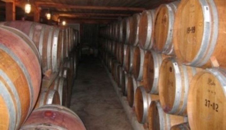 Tequila – ať žije modré agáve! Fotografie zachycující sklepení se sudy