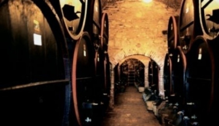 Burčák - kouzlo okamžiku Fotografie sudů ve vinném sklípku