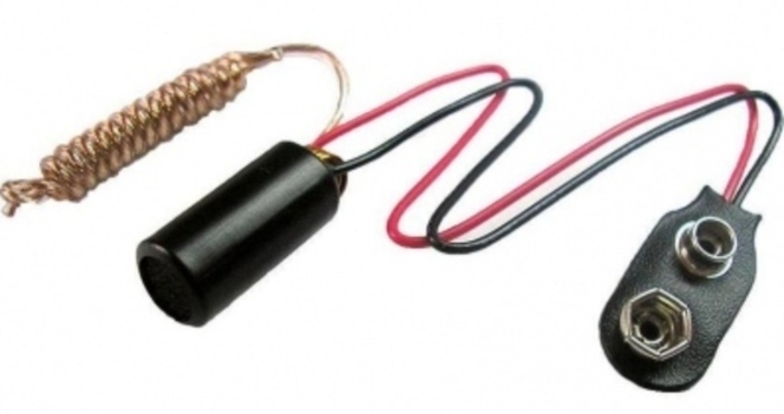 Fotografie štěnice