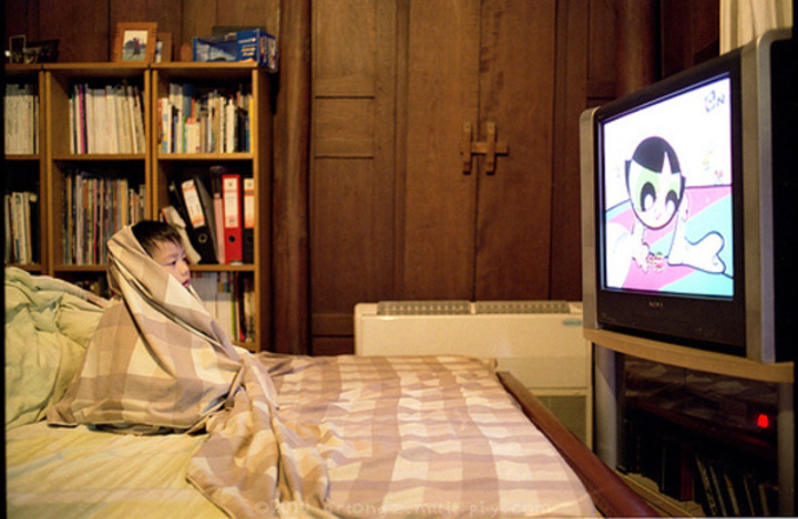 Fotografie psa, který sleduje televizi