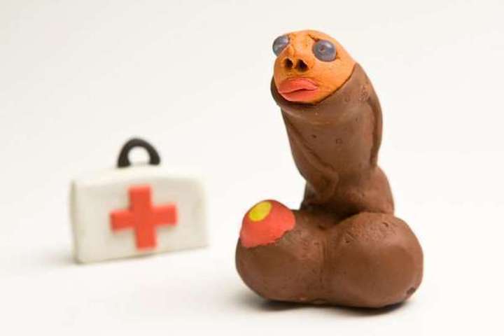 Jak poznat některé pohlavní choroby Legrační snímek zachycující napodobeninu mužského přirození