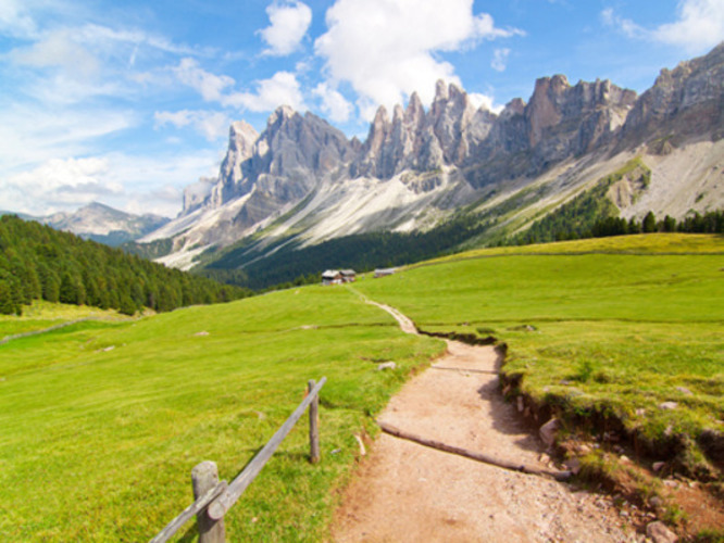 Jedeme na wellness dovolenou!!! Fotografie zachycující horskou stezku