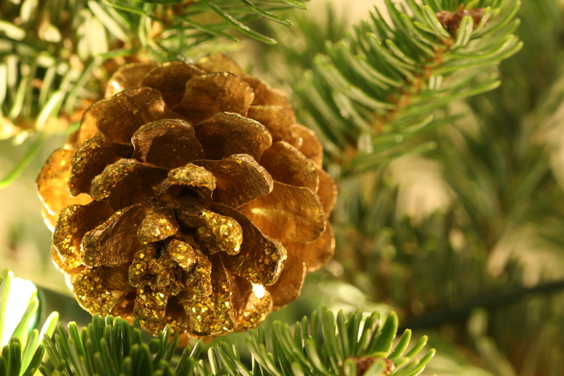 Pozlacené šišky - i těmi se kdysi zdobilo