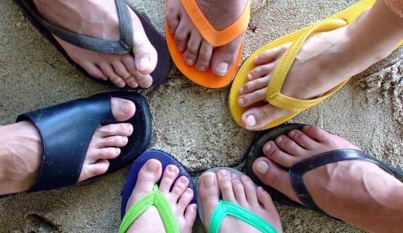 Fotografie žabek v různých barvách