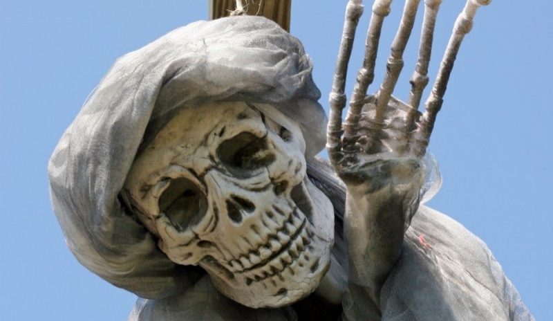 Fotografie zobrazující smrtku