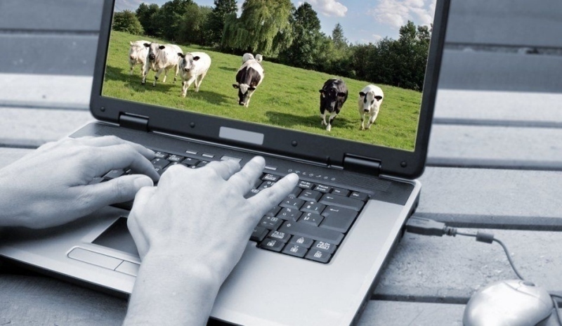 Dvě ruce pracující na PC