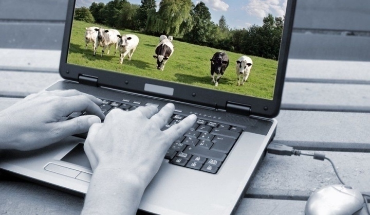 Záloha dat - jak jste na tom? Dvě ruce pracující na PC