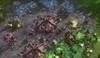 Fotografie PC hry Starcraft 2
