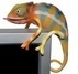 USB chameleon vám nahradí domácí zvířátko.