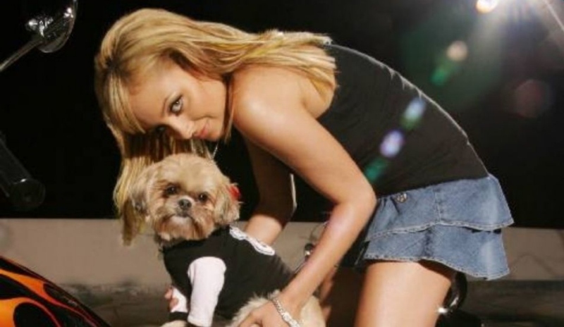 Obrázek blondýny s pejskem sedícím na motorce