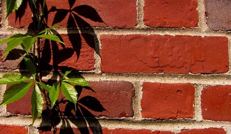 Fotografie cihlové zdi