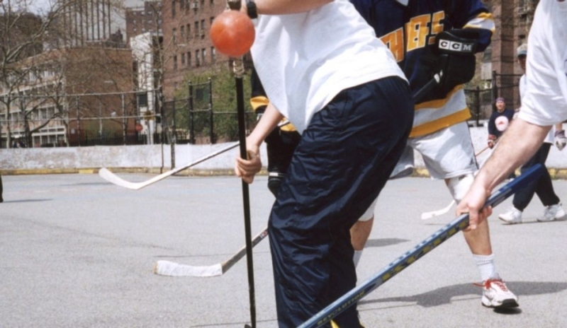 Snímek hráčů s hokejkami na hřišti