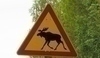 Snímek značky upozorňující na losa