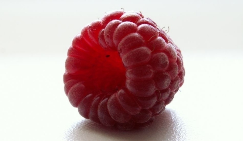 Fotografie s detailem na jednu malinu