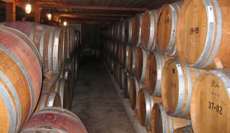 Fotografie zachycující sklepení se sudy