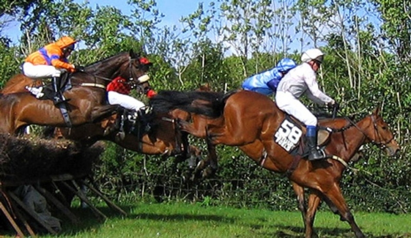 Fotografie jezdců na koních při dostizích