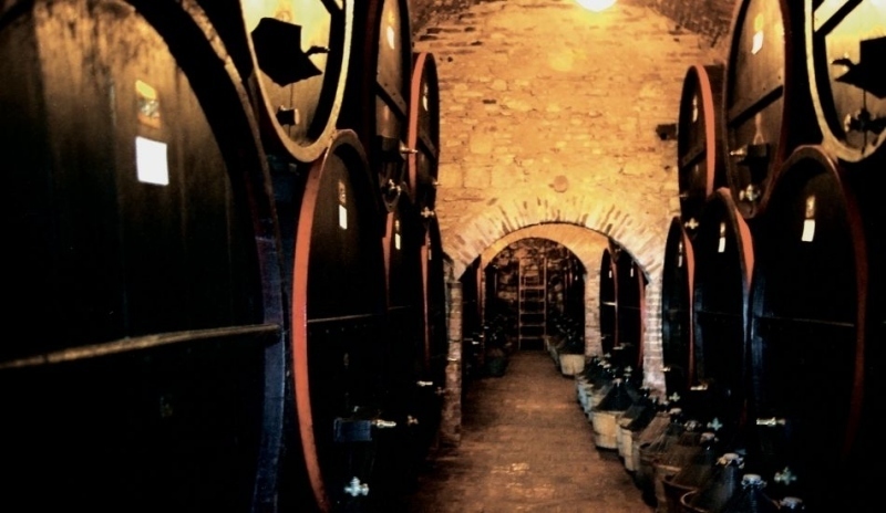 Fotografie vinného sklepa