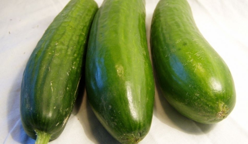 Fotografie tří okurek