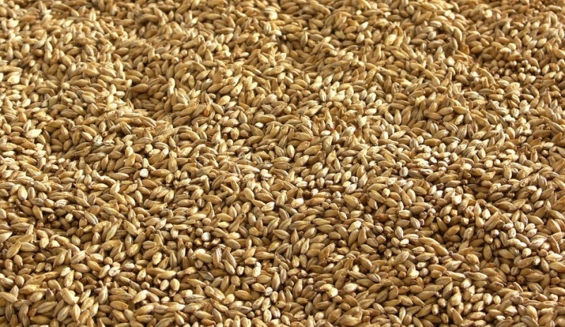 Fotografie zobrazující sladovou whisky