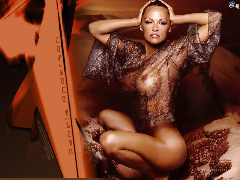 Pamela Anderson v průhledné halence odhaluje své vnady