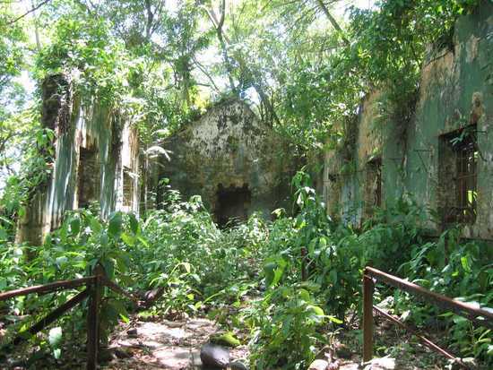 Zchátralý dům obklopen zelení