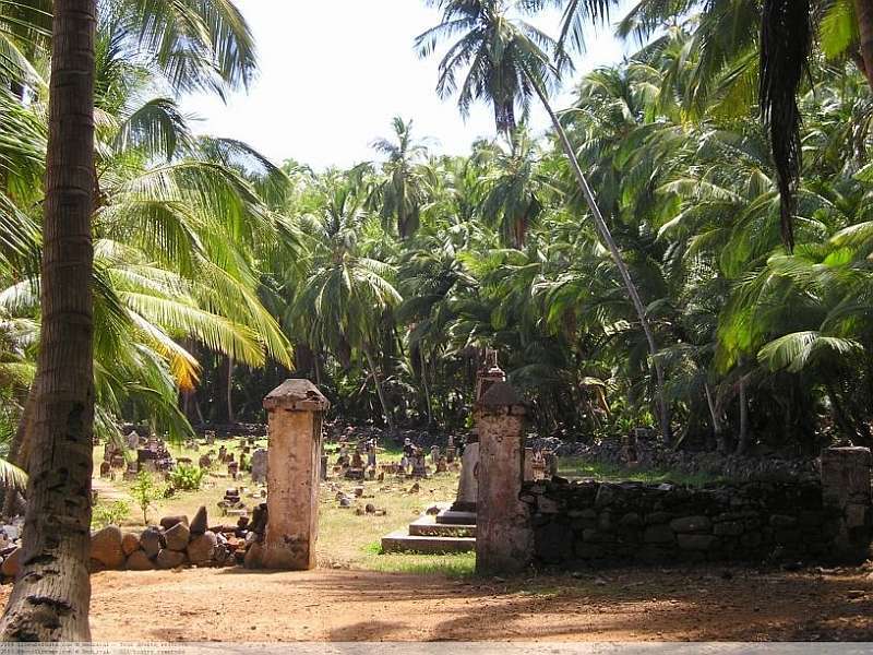 Rozpadlá zeď před palmovým hájem