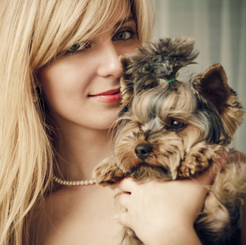 australiancreditcards.com.au  australiancreditcards.com.au