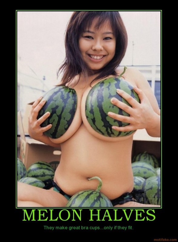 Zdroj: tizona.wordpress.com Zdroj: tizona.wordpress.com